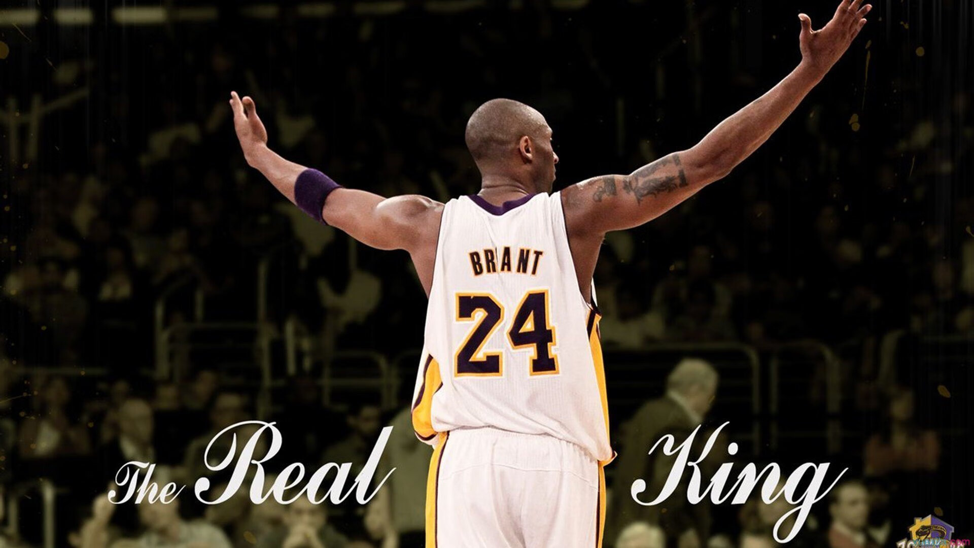 凯琳·科贝特赛场表现引发媒体热议，凯特琳菲贝尔和科比